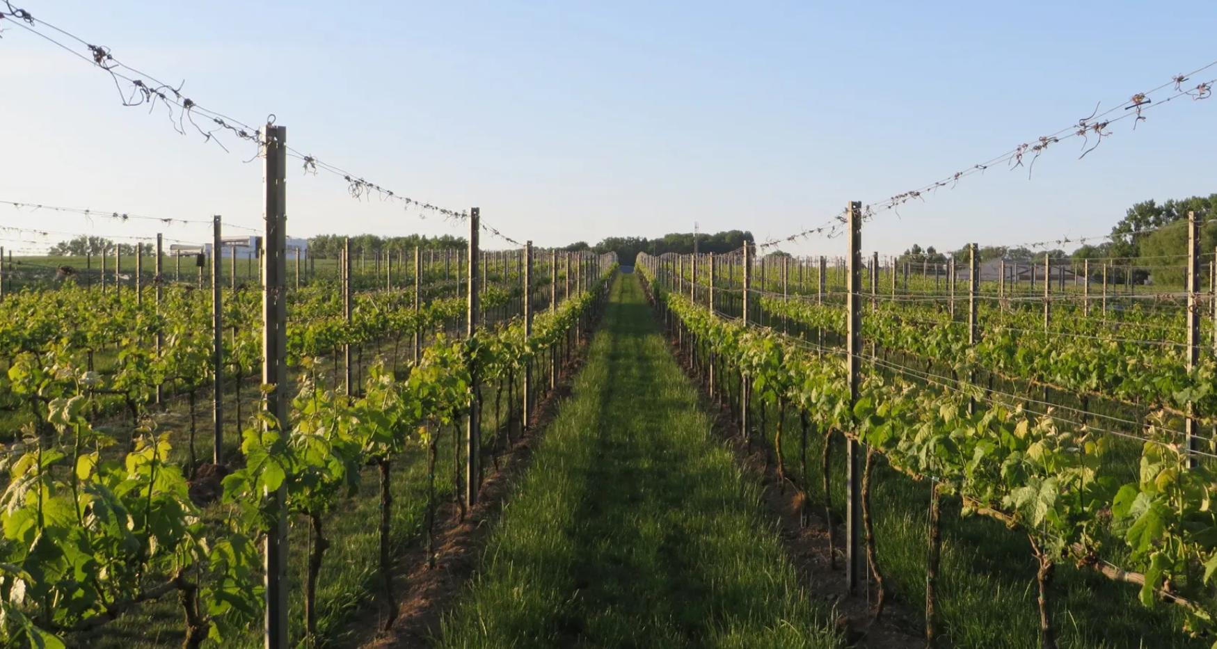 Domaine Lacroix